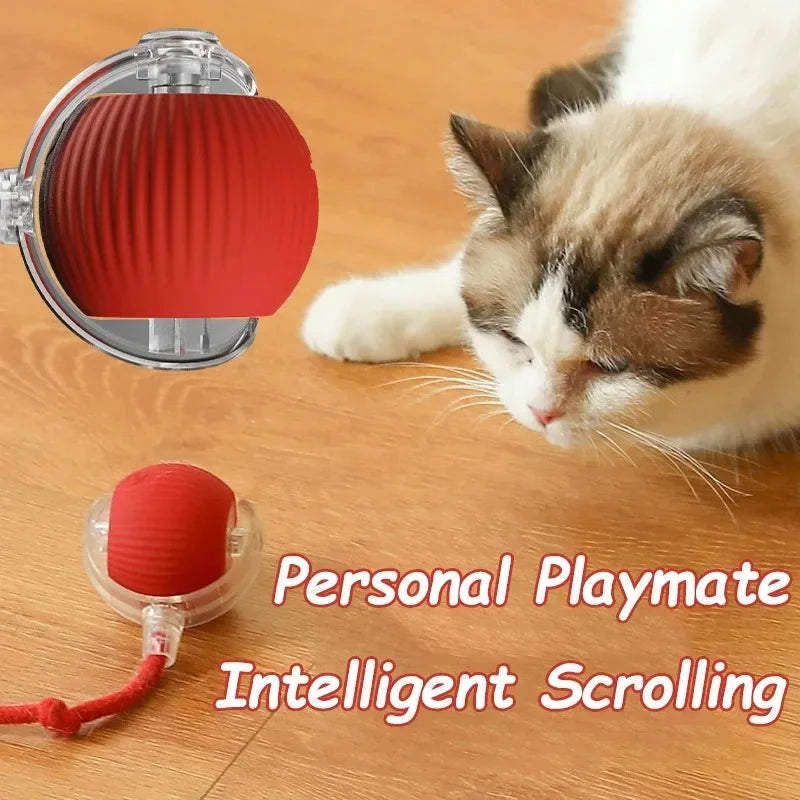 The Interactive Toy That Keeps Cats Happy & Entertained