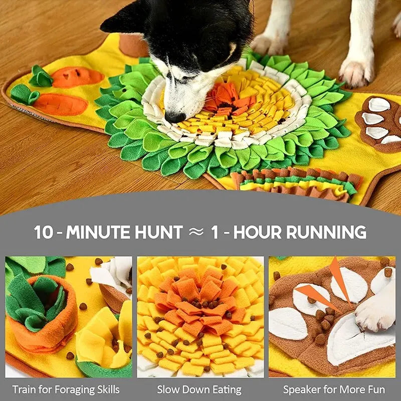 Dog Snuffle Activity Mat