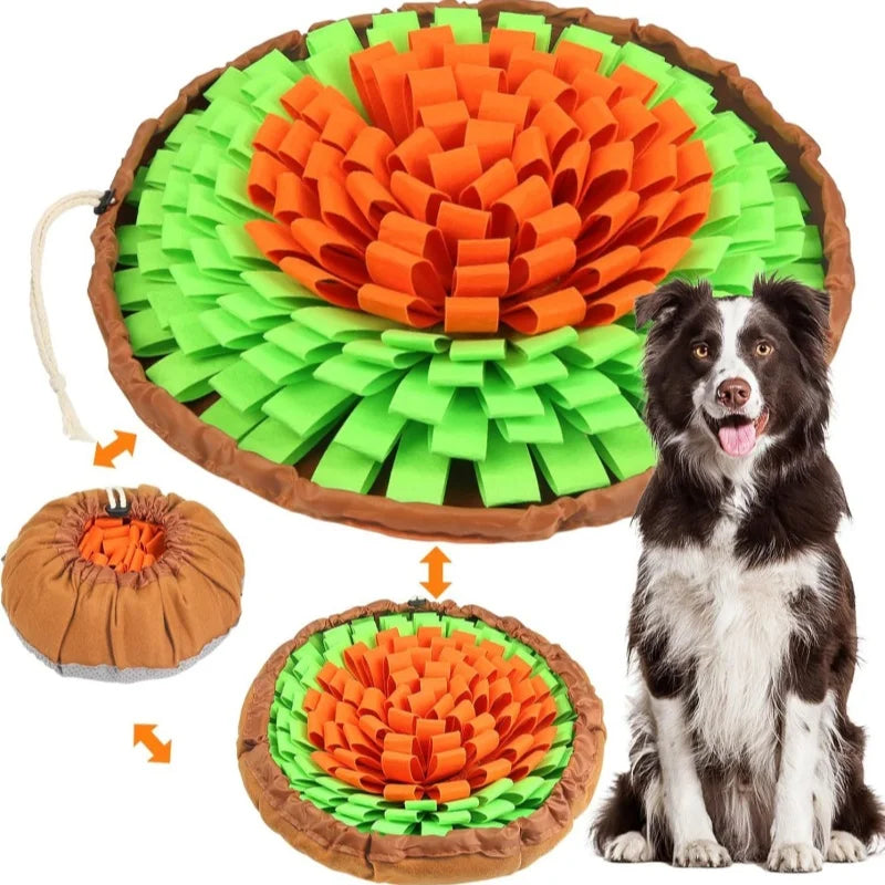 Interactive Snuffle Mat for Dogs
