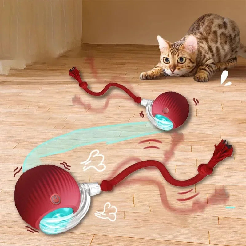 The Interactive Toy That Keeps Cats Happy & Entertained