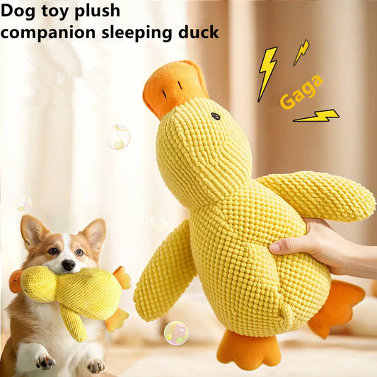 Sleepy Duck Companion Toy