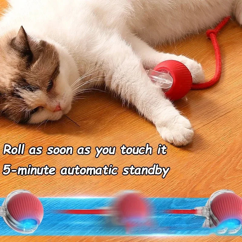 The Interactive Toy That Keeps Cats Happy & Entertained