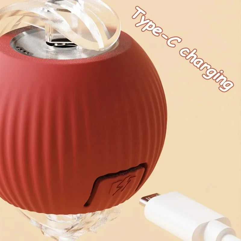 The Interactive Toy That Keeps Cats Happy & Entertained