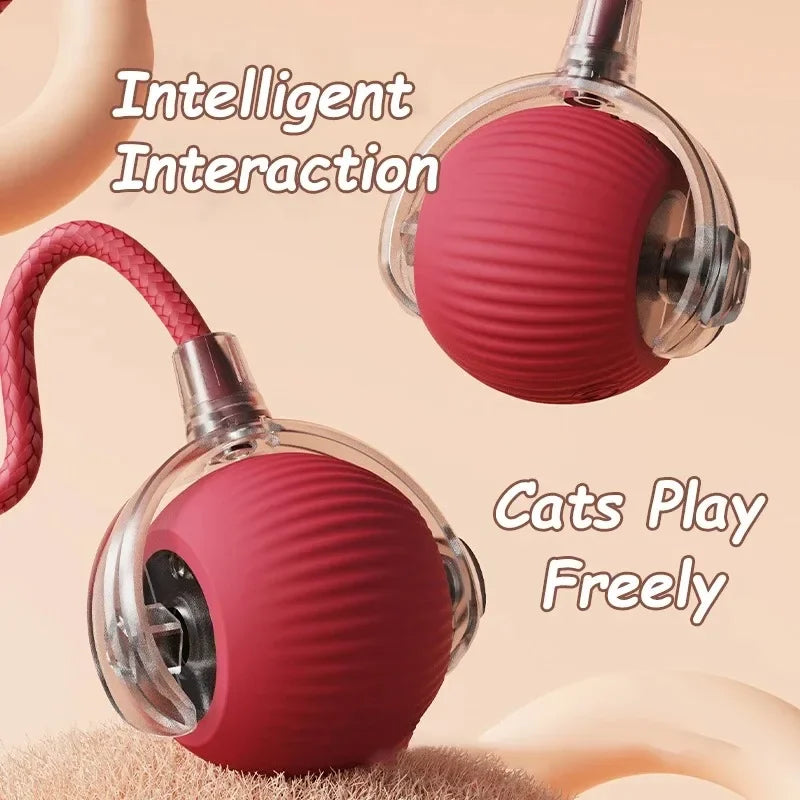 The Interactive Toy That Keeps Cats Happy & Entertained