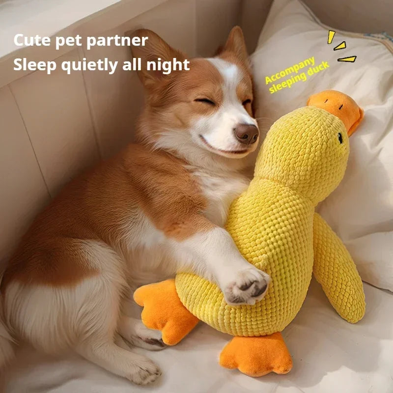 Sleepy Duck Companion Toy