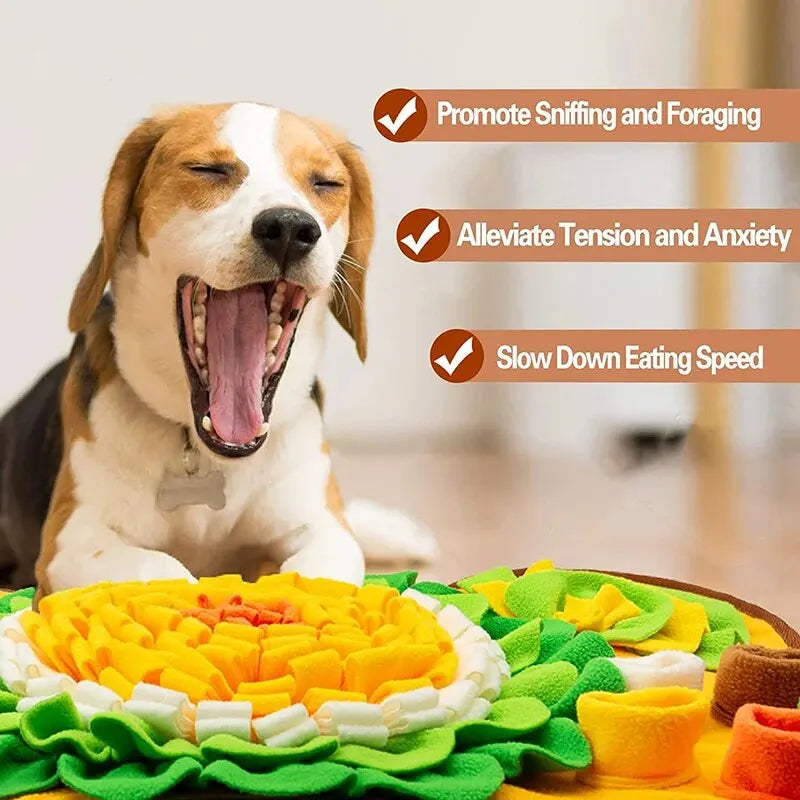Dog Snuffle Activity Mat