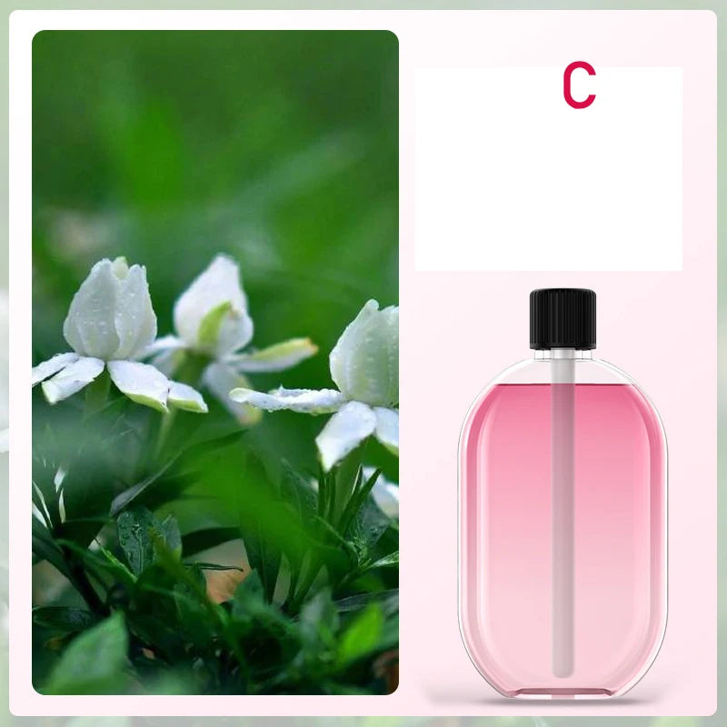 Cozy Flame Humidifier & Essential Oil Diffuser