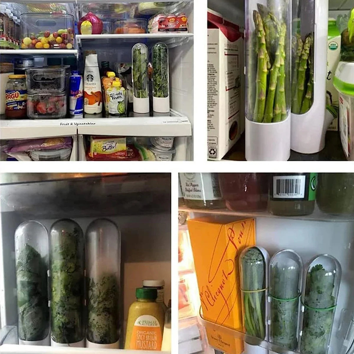 Fresh Herb Keeper™ – Refrigerator Herb Storage Container